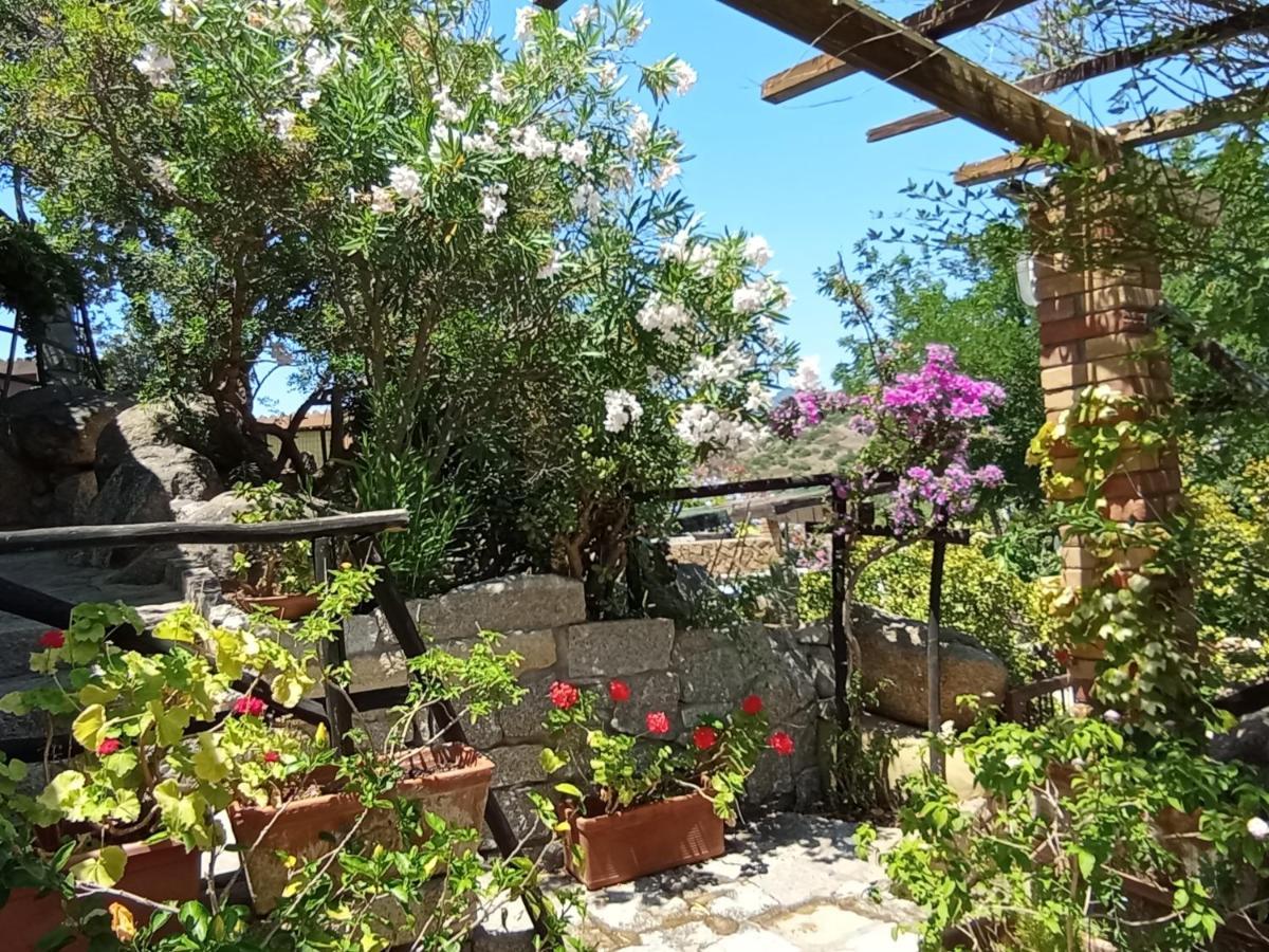 Villa Milena Villasimius, Wifi Gratuito, Ampio Giardino A 300 M Dal Mare Exterior photo